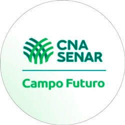 Energia Solar - Inovação, Economia e Negócios
