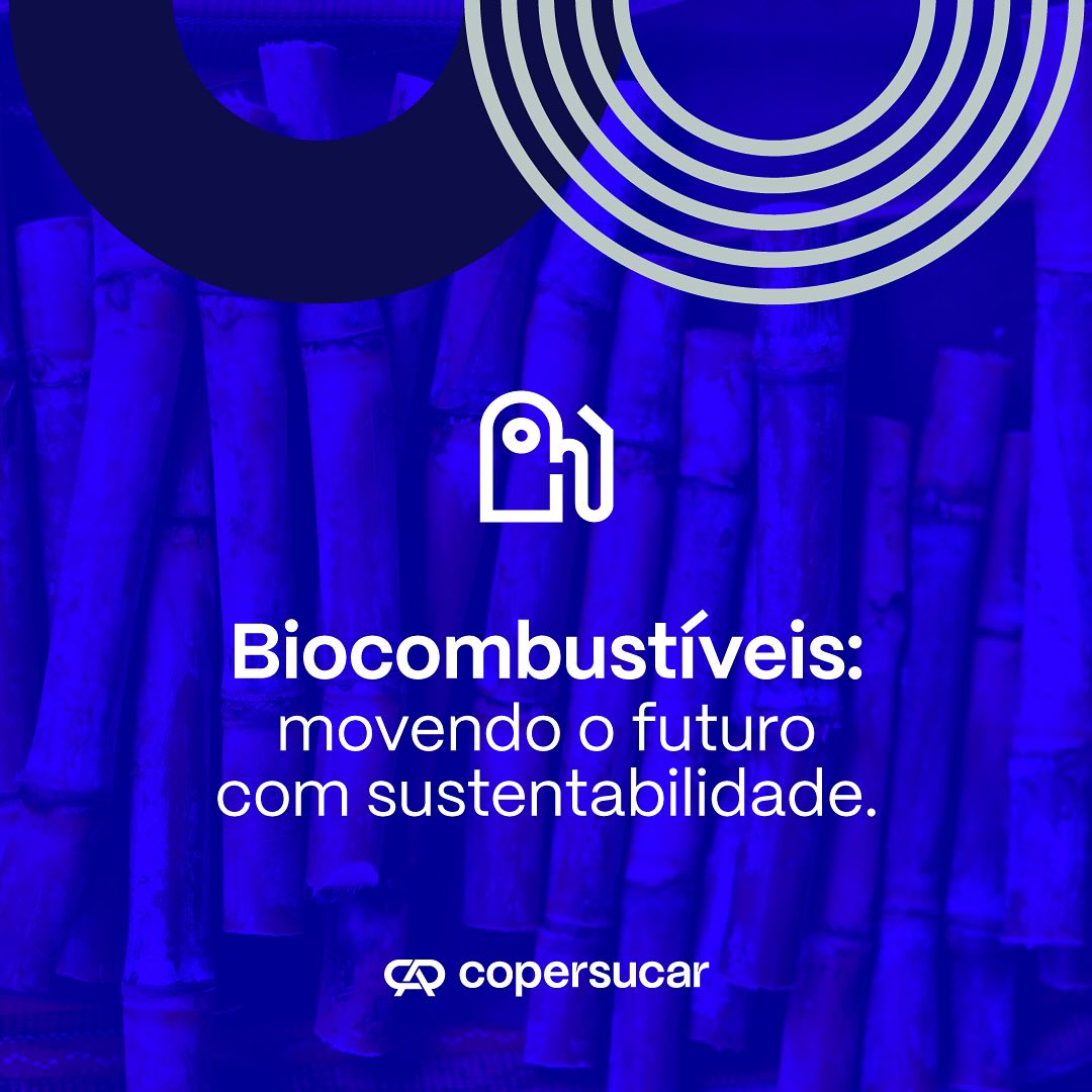 Cooperativismo - Inovação, Economia e Negócios