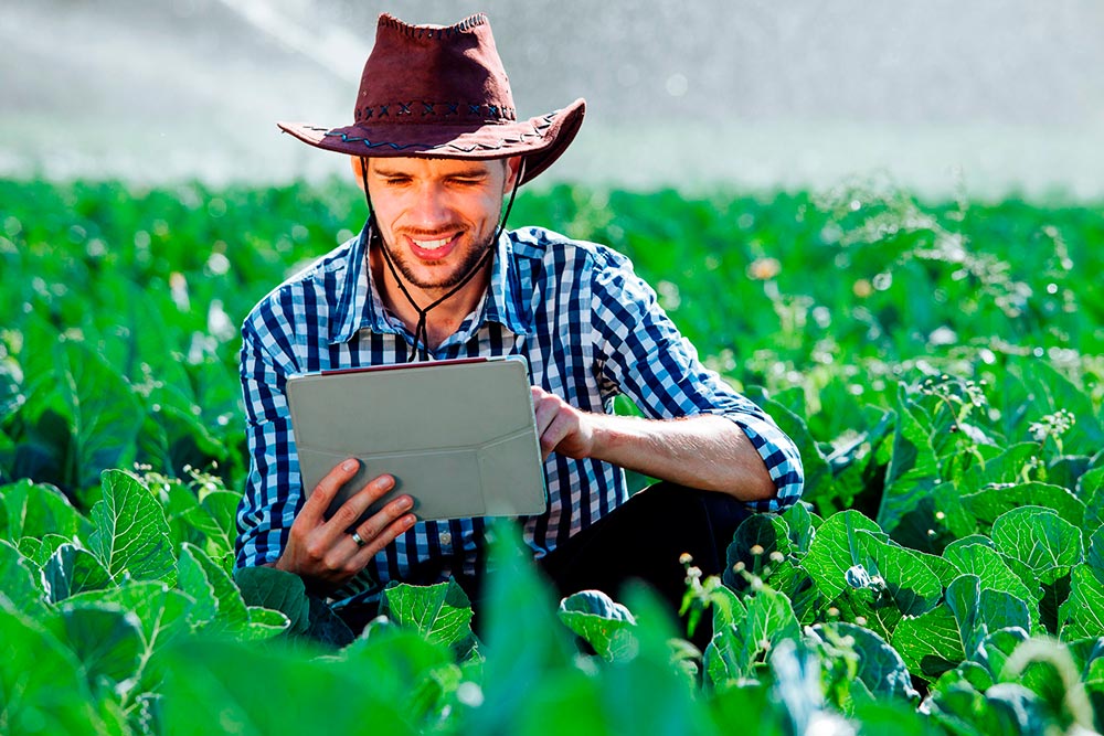 brasil inovador agro